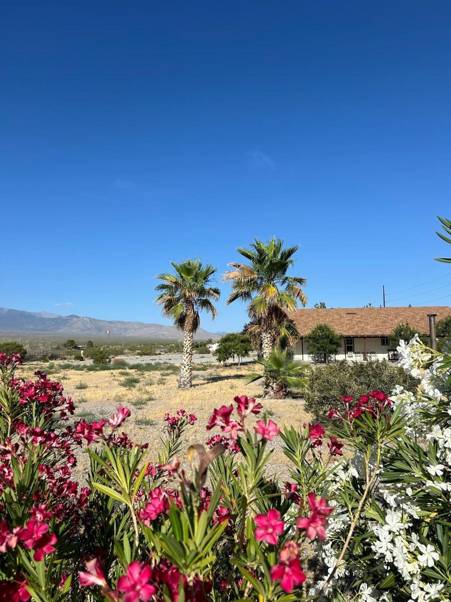 K7 Bed And Breakfast Pahrump Dış mekan fotoğraf